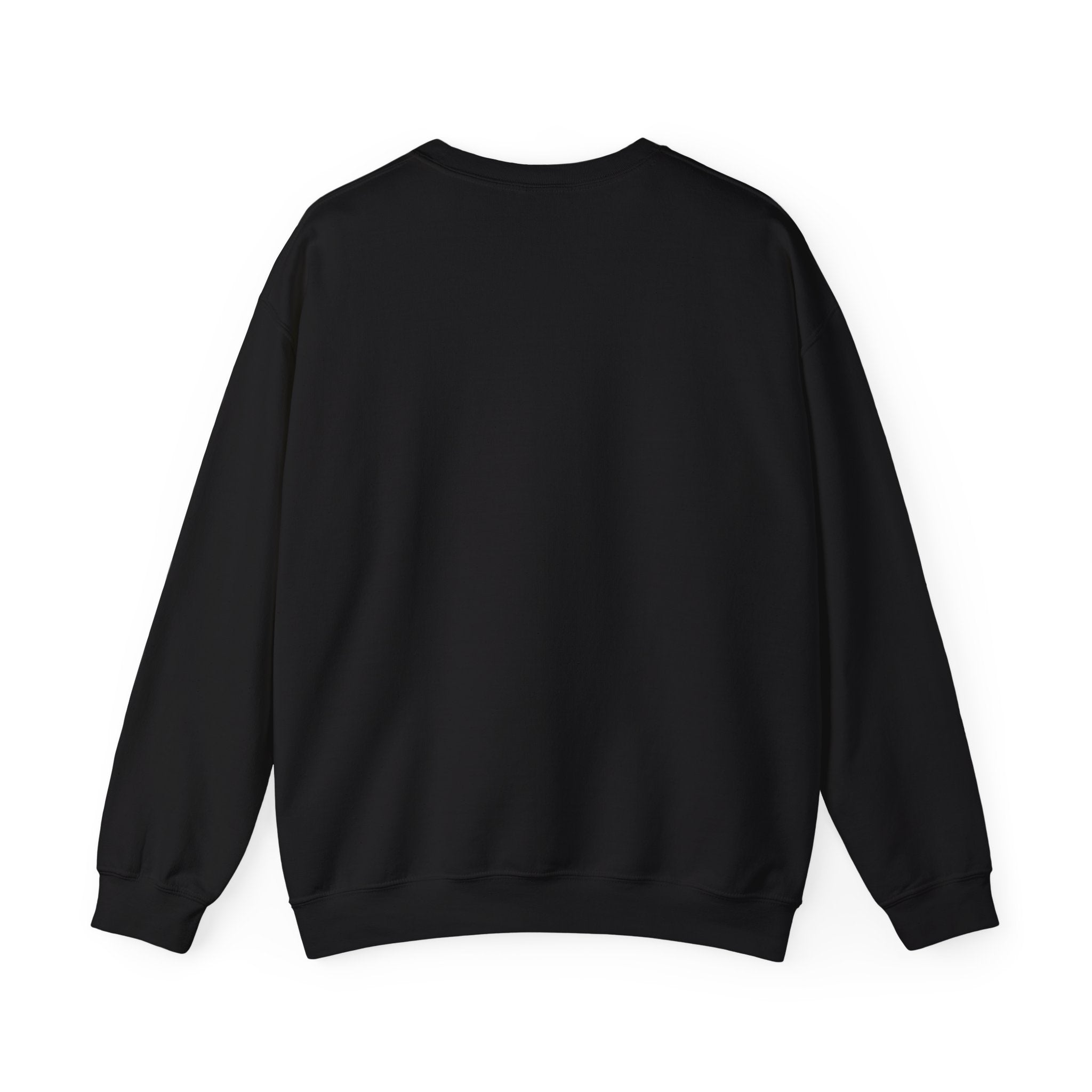 Zebra Waves Women's Graphic Sweatshirt