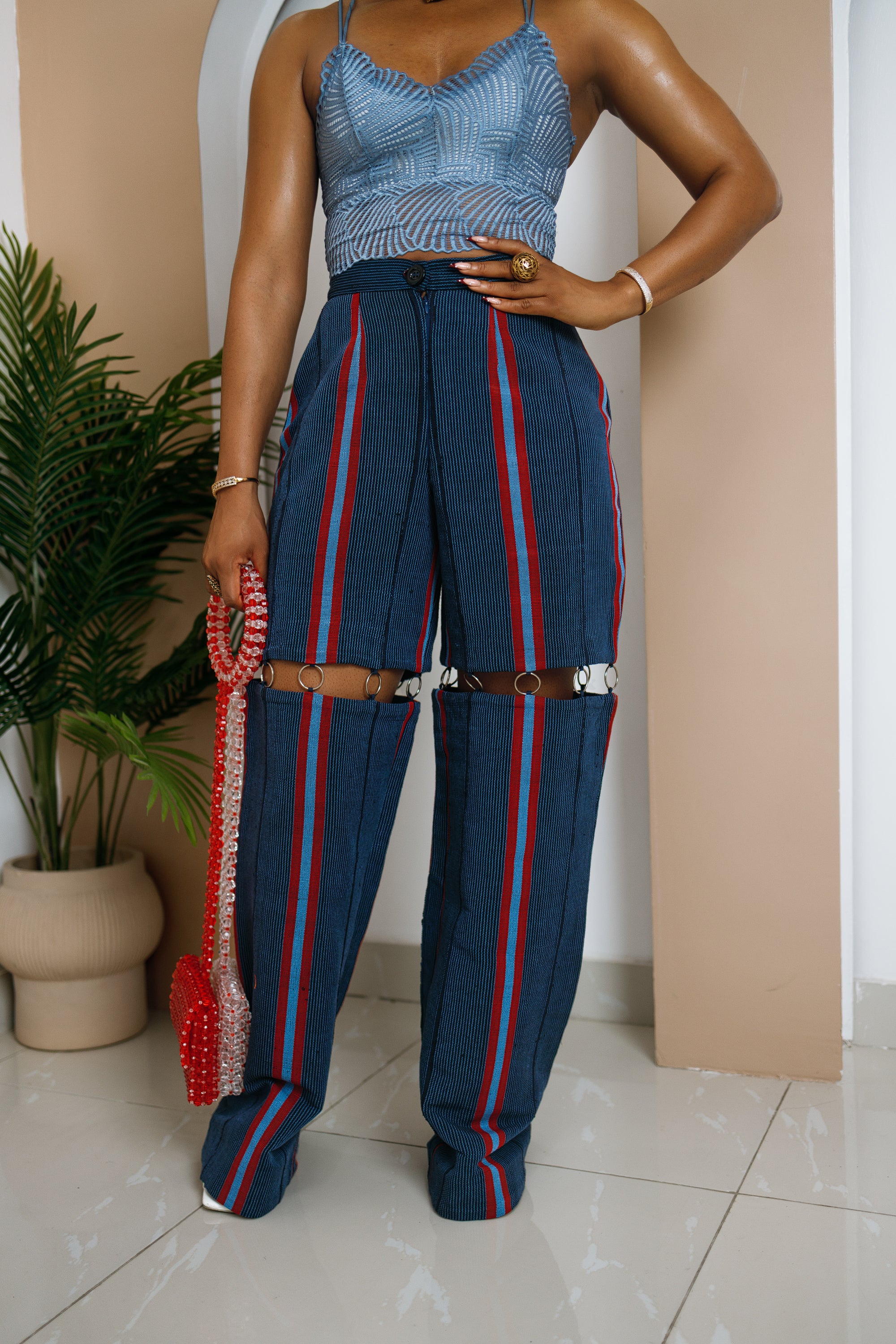 Person wearing a blue and red striped outfit with a plant in the background